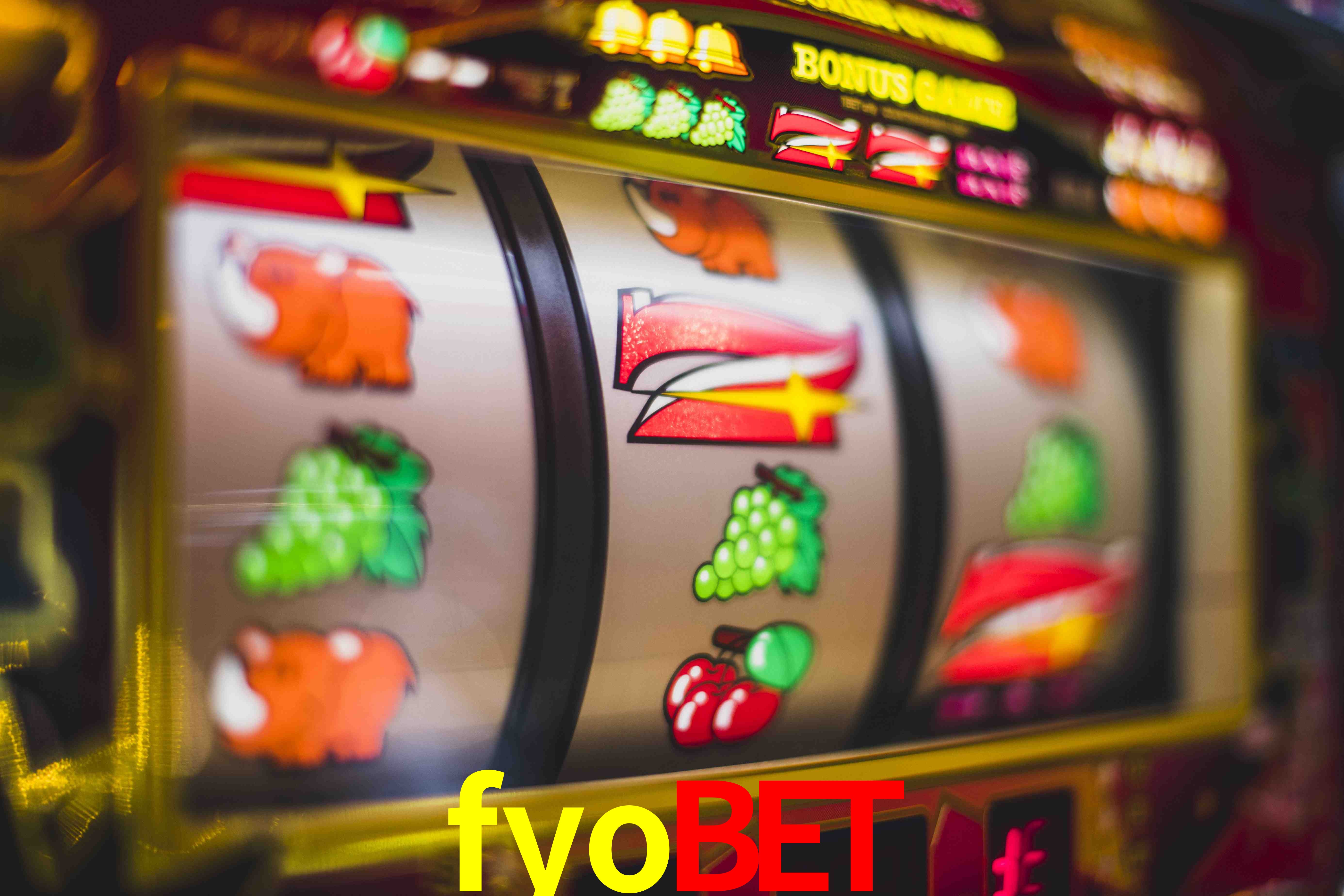 Sports Statistics fyobet